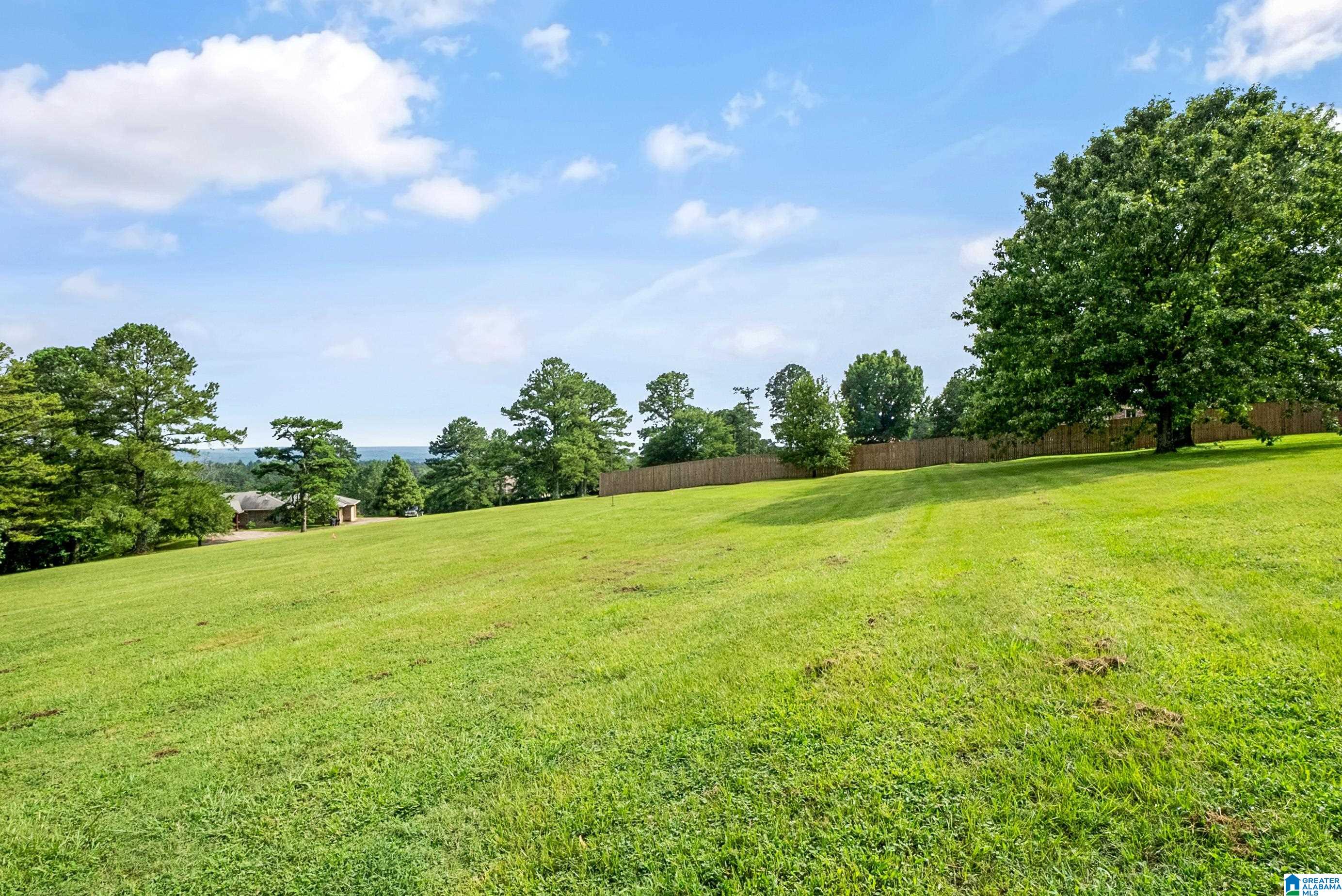 5029 South Shades Crest Road Helena, AL 35022 - Photo 10 of 48