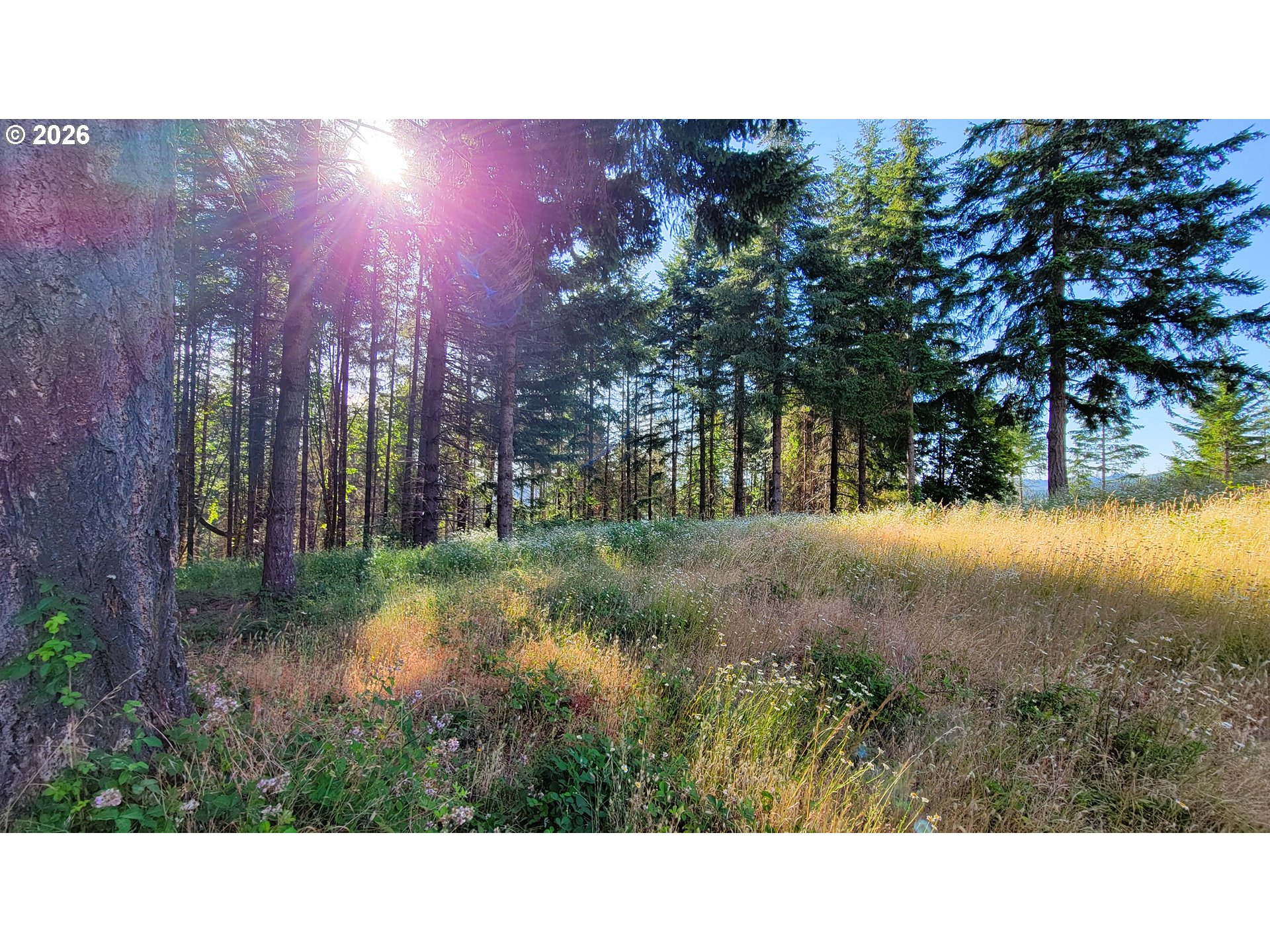 86820 Northill Ranch Road Eugene, OR 97402 - Photo 25 of 30