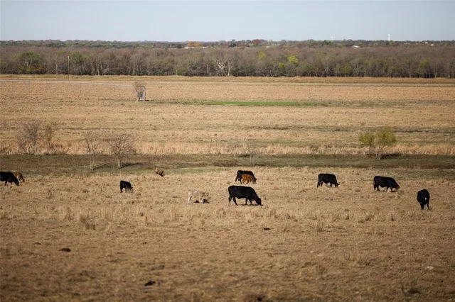 $2,650,000 | 8013 Highway 34, Italy, TX 76651