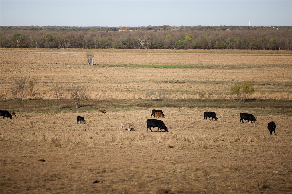 8013 Highway 34 Italy, TX 76651 - Photo 28 of 30