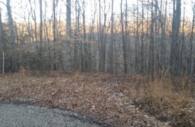 2 Rue Des Rindler Road Alpine, TN 38543 - Photo 3 of 11 a view of a yard with lots of green space