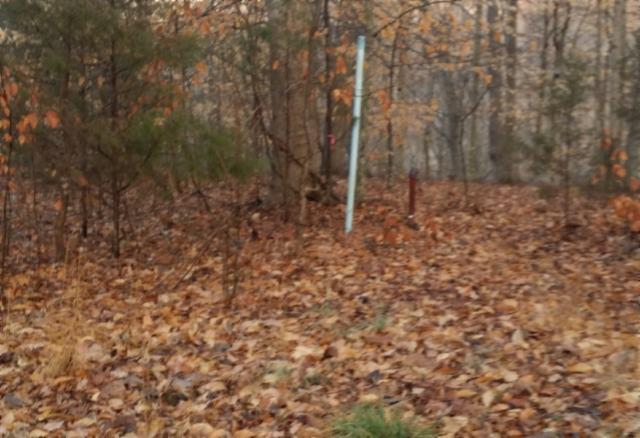 2 Rue Des Rindler Road Alpine, TN 38543 - Photo 8 of 11 a view of a yard with trees