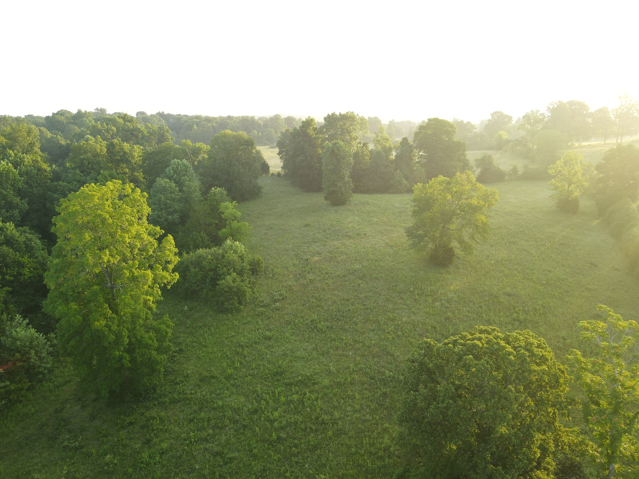 7 Shiloh Canaan Road Palmyra, TN 37142 - Photo 18 of 23 Gallery Image 18