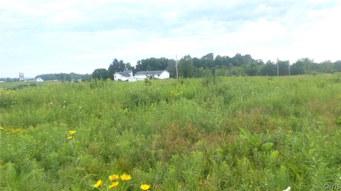 Rockbrook Estates Rd Road Evans Mills, NY 13637 - Photo 7 of 21