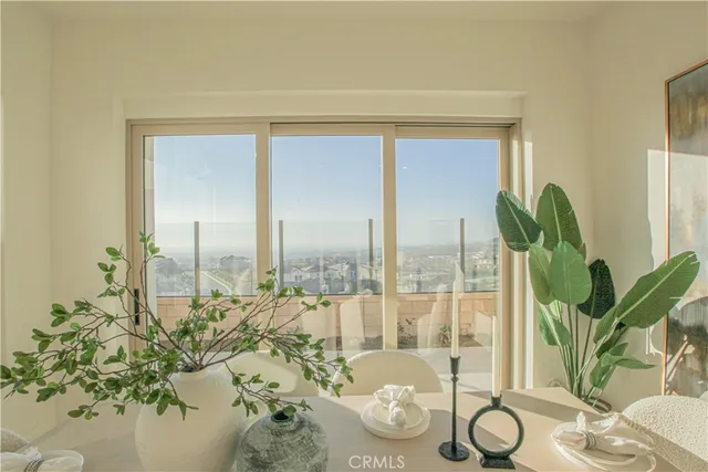 a view of a potted plant in front of a window