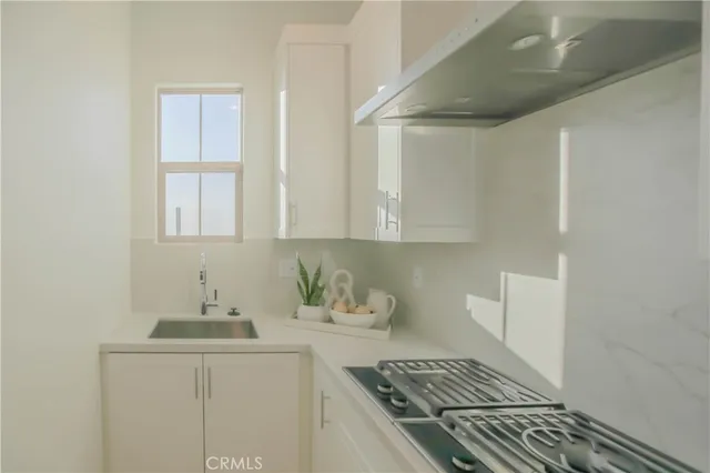 a kitchen with stainless steel appliances a stove a sink a faucet a cabinets and potted plant