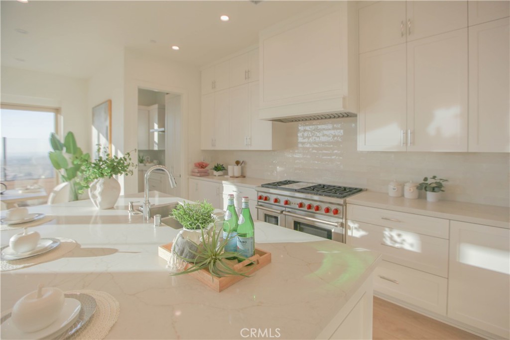 137 Oakstone Irvine, CA 92618 - Photo 21 of 54 a kitchen with stainless steel appliances a stove a sink a faucet a cabinets and potted plant