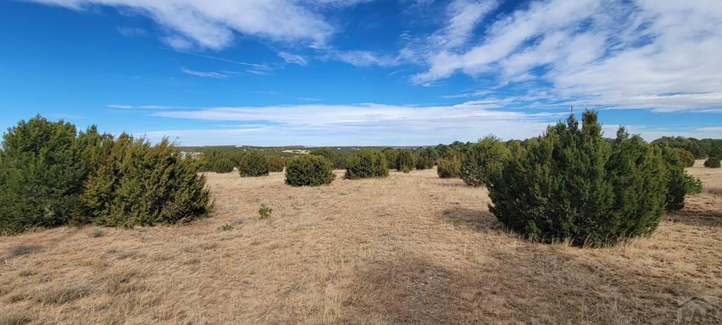 Lot 34 Silver Spur Road Walsenburg, CO 81089 - Photo 39 of 43
