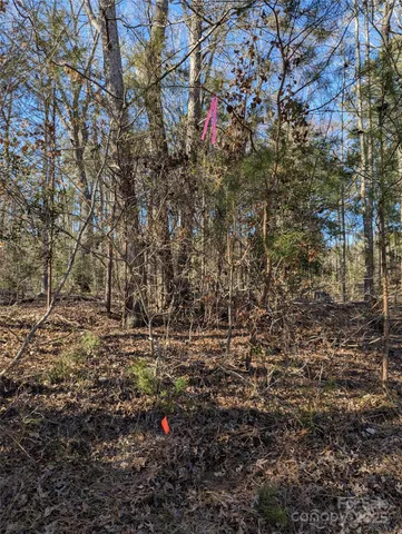 $19,900 | 131 Stormy Court, Unit 21, New London, NC 28127