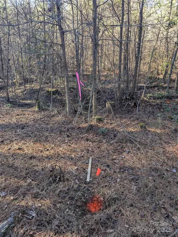 $19,900 | 131 Stormy Court, Unit 21, New London, NC 28127