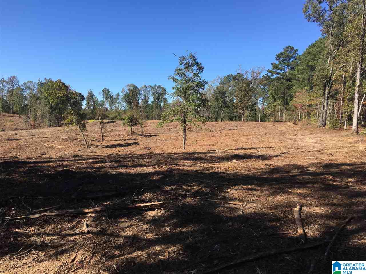 9150 Sunview Road, Unit 12 Warrior, AL 35180 - Photo 4 of 6