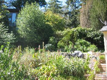 901 Smith Road Mill Valley, CA 94941 - Photo 2 of 8 a view of yard with green space