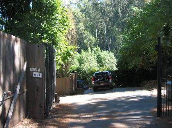 901 Smith Road Mill Valley, CA 94941 - Photo 5 of 8 a view of a back yard