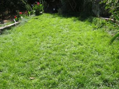 901 Smith Road Mill Valley, CA 94941 - Photo 8 of 8 a view of a backyard