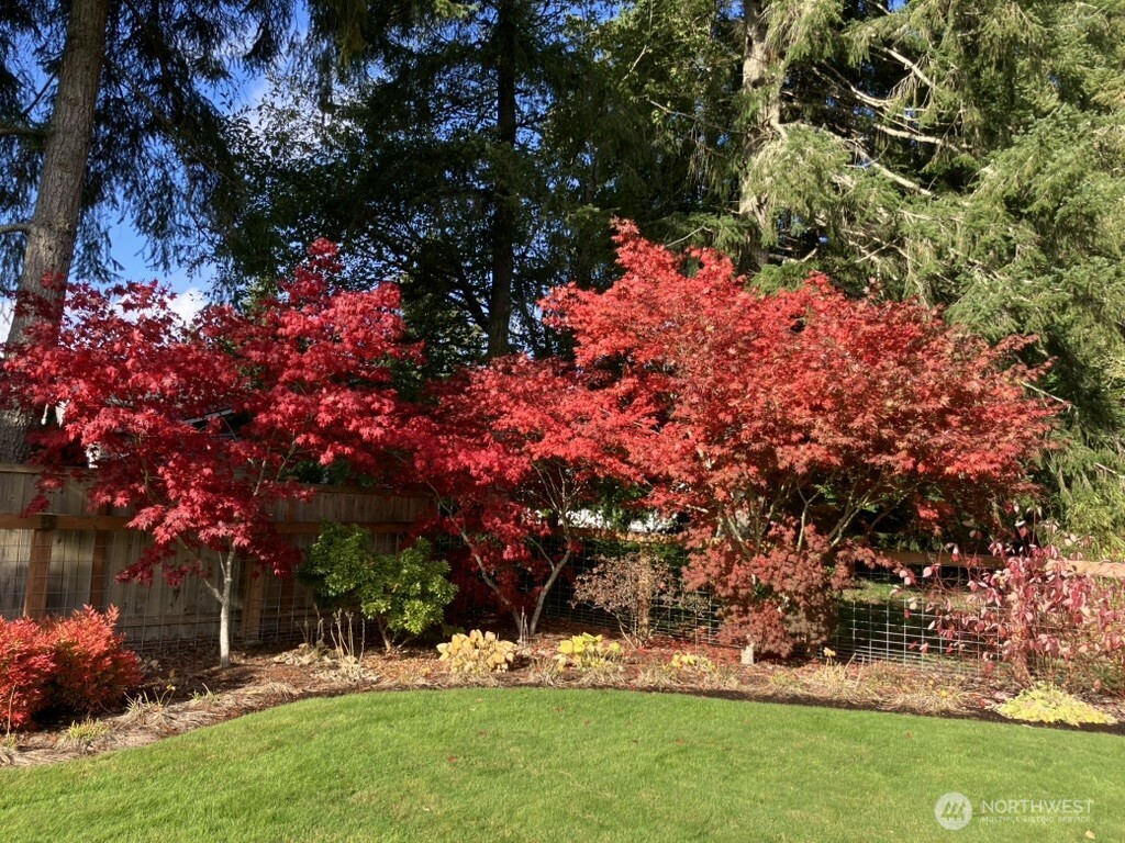 2901 South Bay Road Northeast Olympia, WA 98506 - Photo 11 of 40