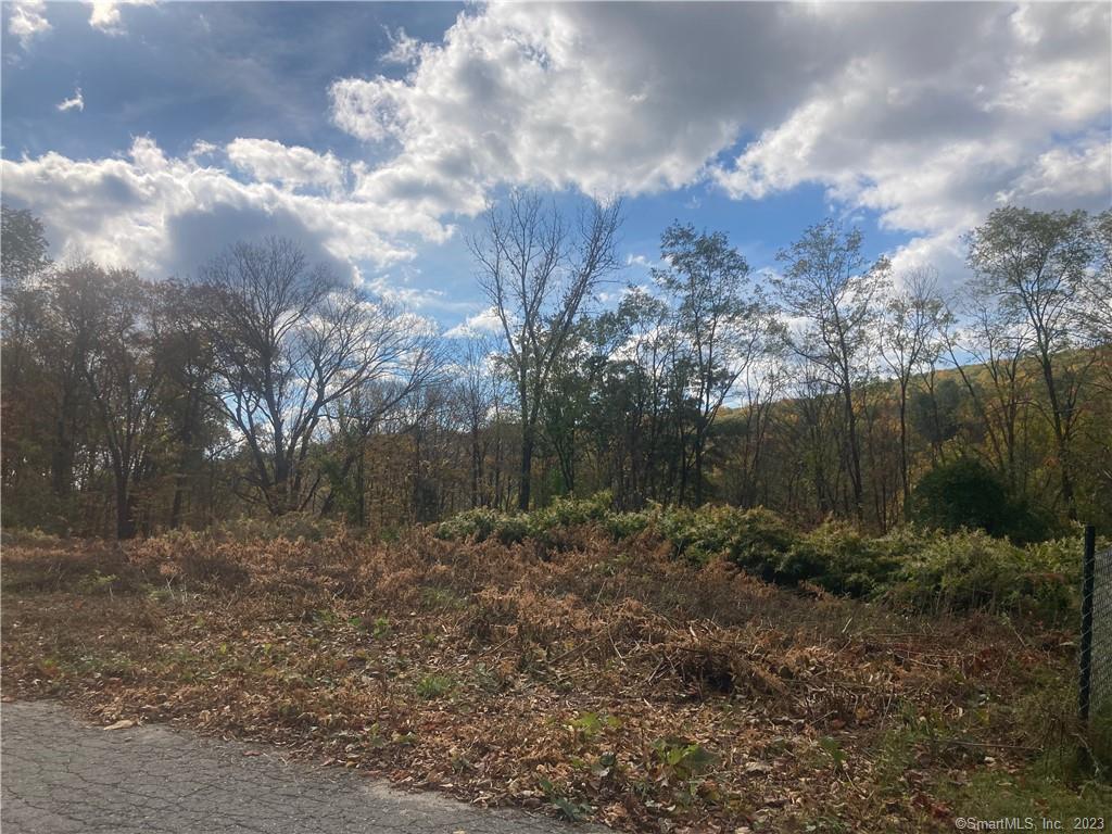 80 Ridge Road Torrington, CT 06790 - Photo 1 of 1 a view of a yard