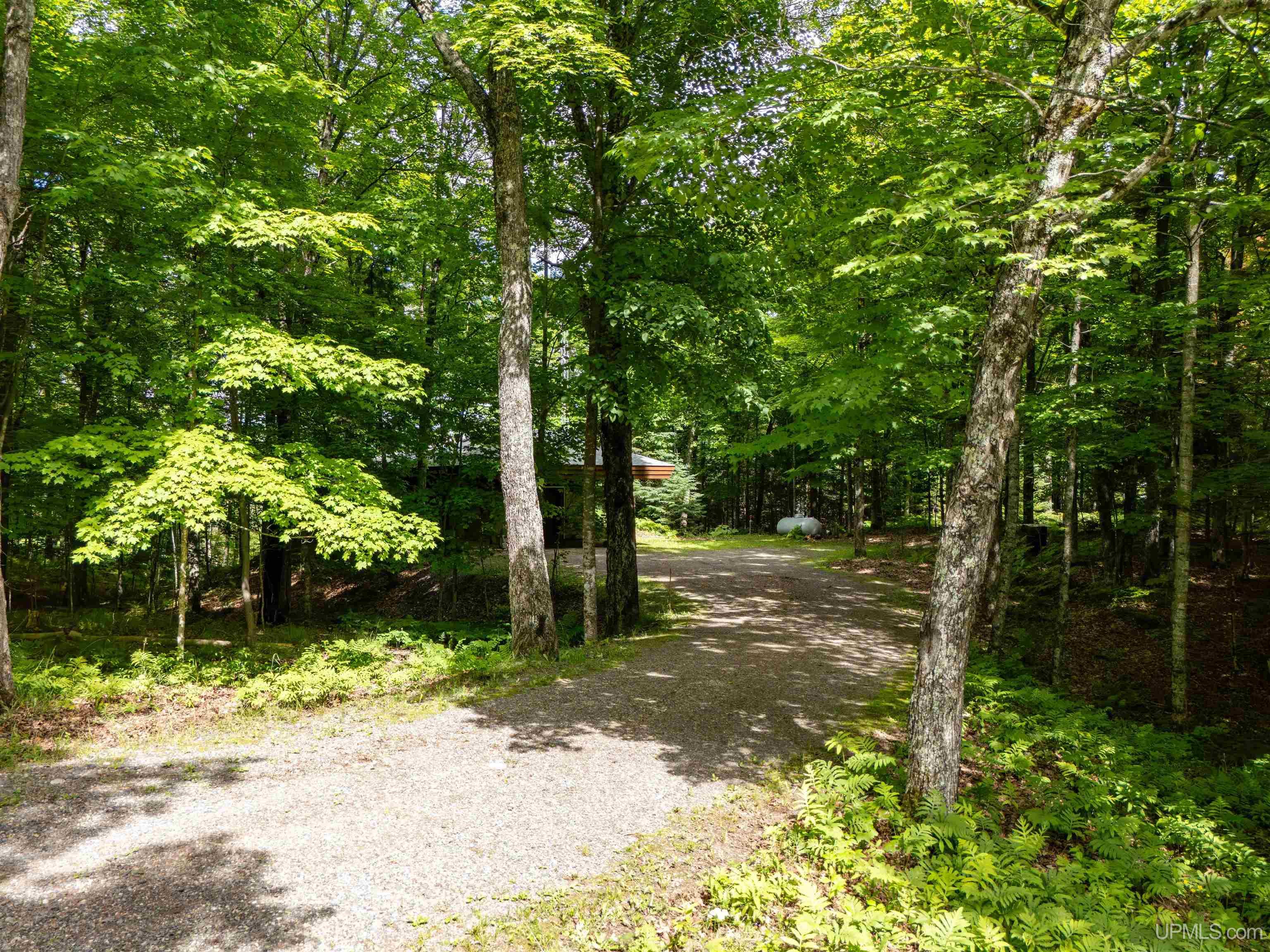 104 North Hagerman Lake Road Iron River, MI 49935 - Photo 28 of 55