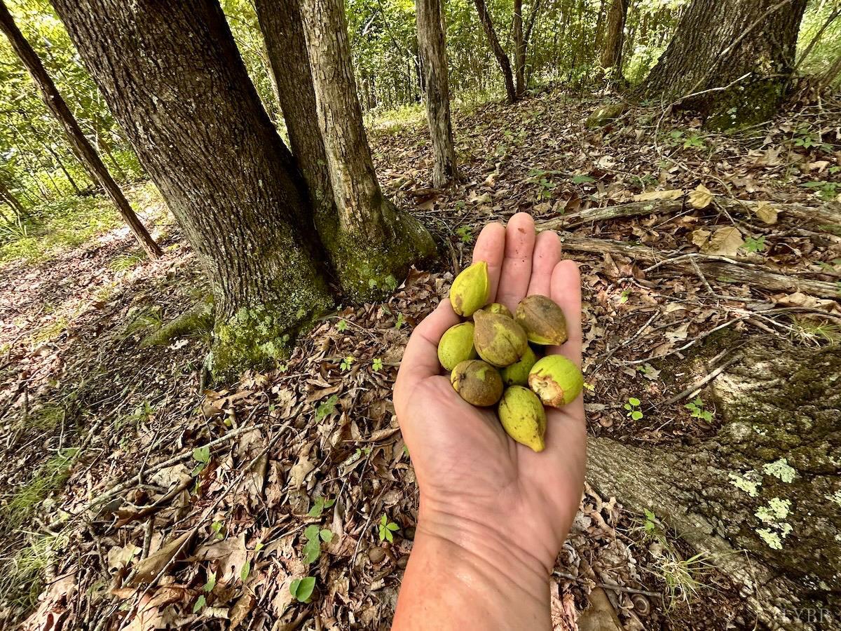 0 Stewartsville Road Vinton, VA 24179 - Photo 12 of 64