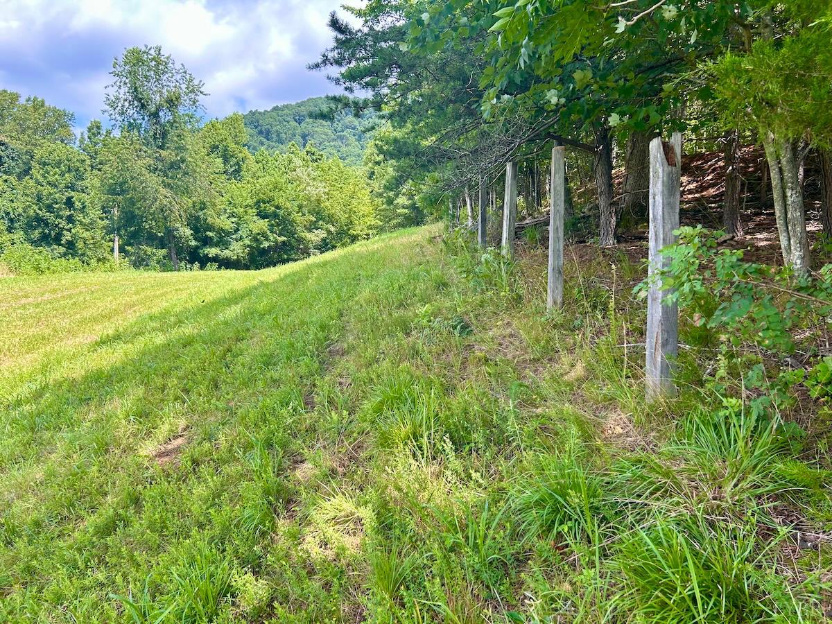 0 Stewartsville Road Vinton, VA 24179 - Photo 17 of 64