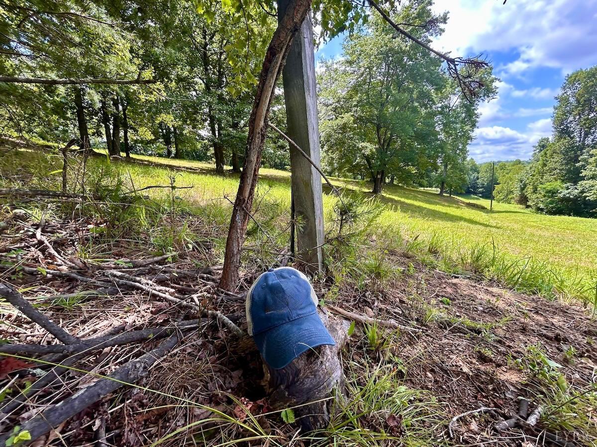 0 Stewartsville Road Vinton, VA 24179 - Photo 18 of 64