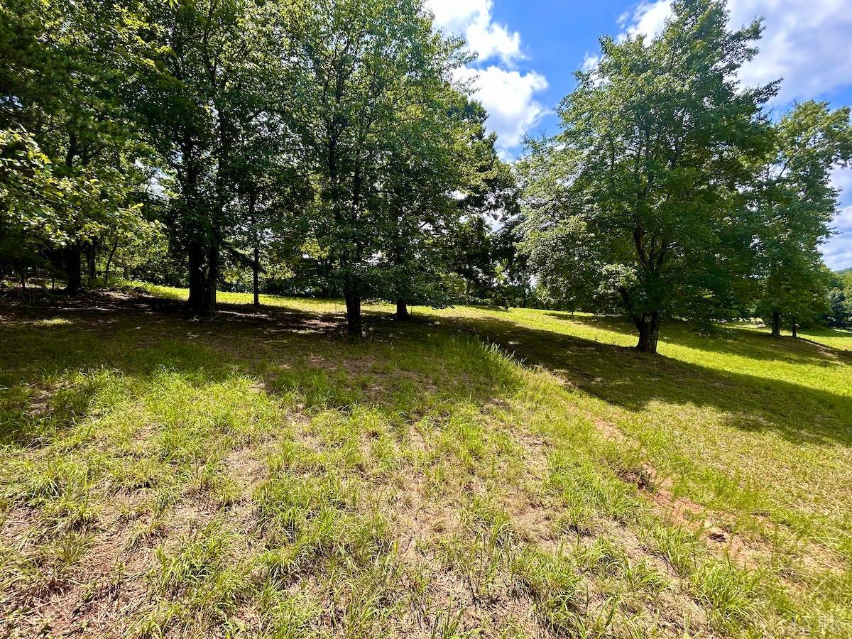 0 Stewartsville Road Vinton, VA 24179 - Photo 21 of 64