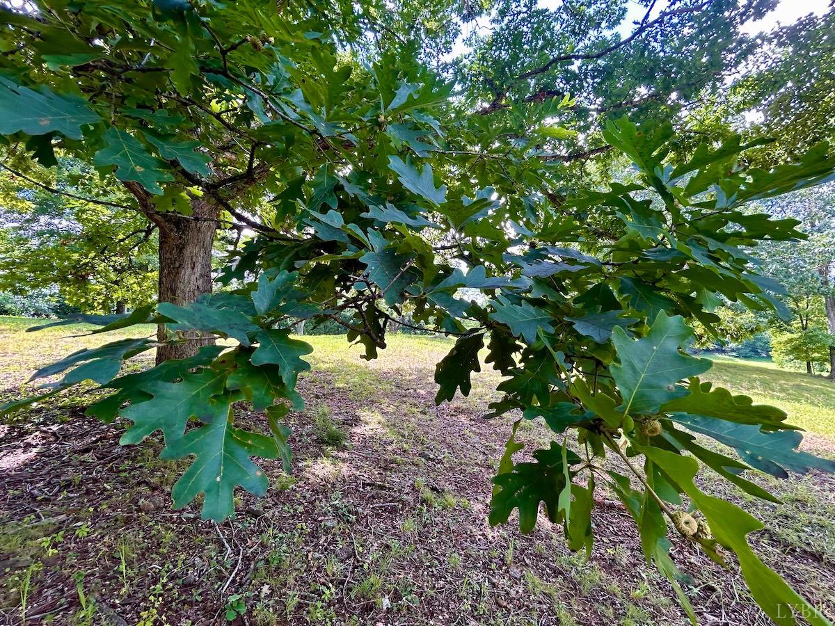 0 Stewartsville Road Vinton, VA 24179 - Photo 23 of 64