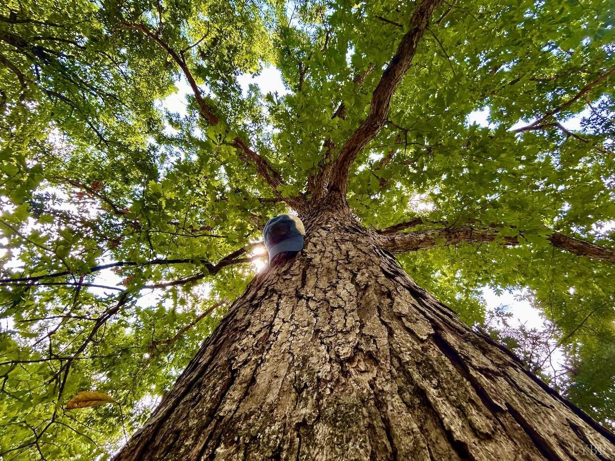 0 Stewartsville Road Vinton, VA 24179 - Photo 24 of 64