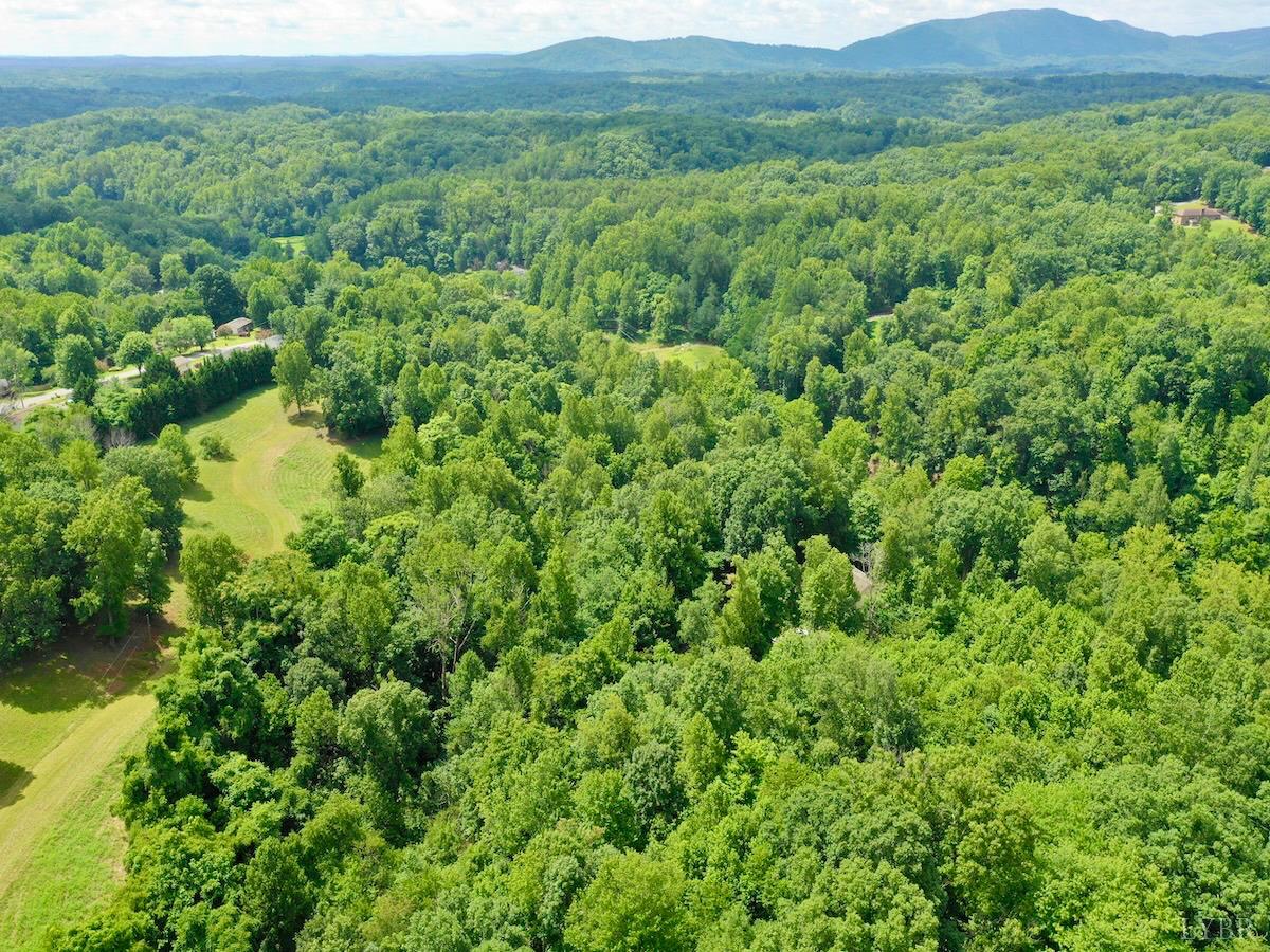 0 Stewartsville Road Vinton, VA 24179 - Photo 3 of 64