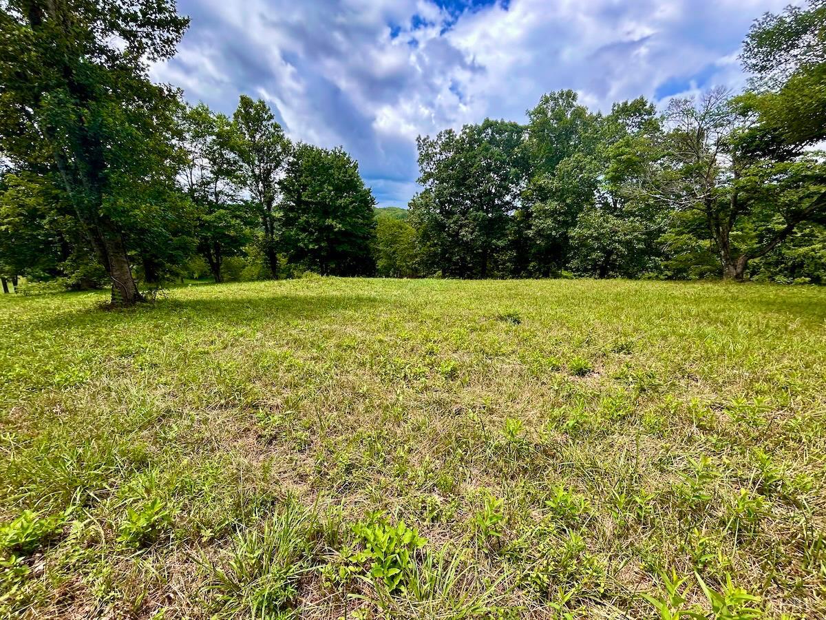 0 Stewartsville Road Vinton, VA 24179 - Photo 31 of 64