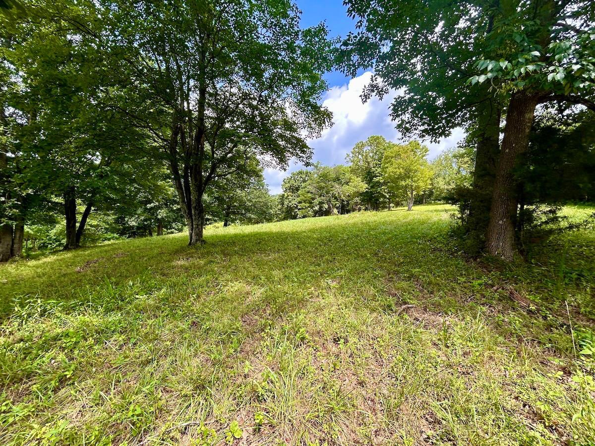 0 Stewartsville Road Vinton, VA 24179 - Photo 33 of 64