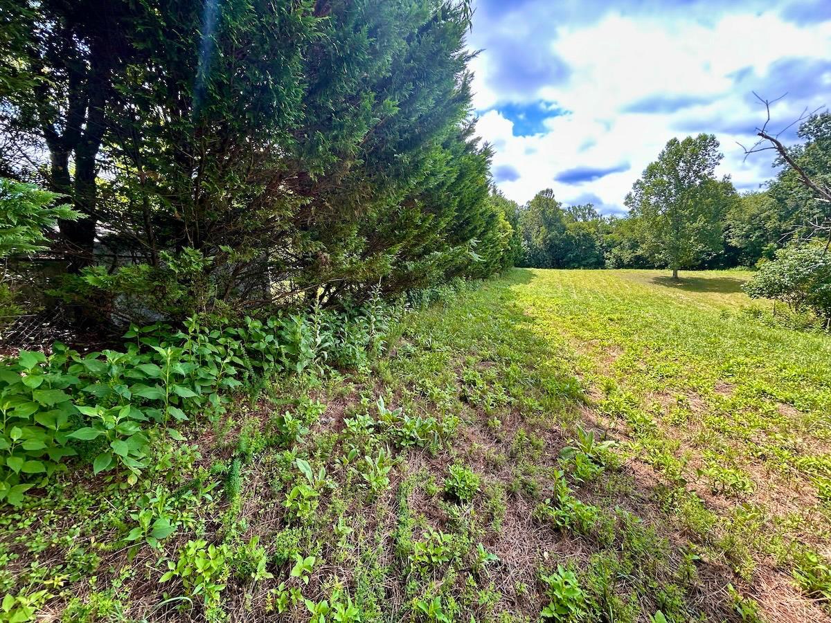 0 Stewartsville Road Vinton, VA 24179 - Photo 38 of 64