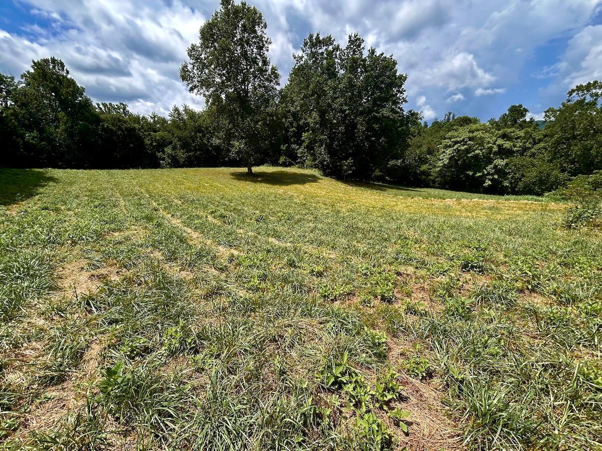 0 Stewartsville Road Vinton, VA 24179 - Photo 39 of 64