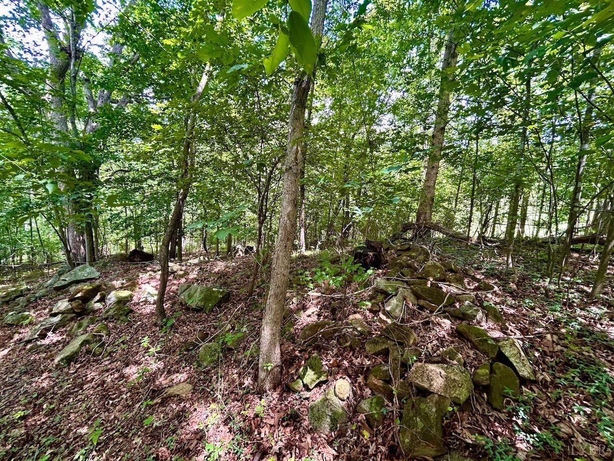 0 Stewartsville Road Vinton, VA 24179 - Photo 41 of 64