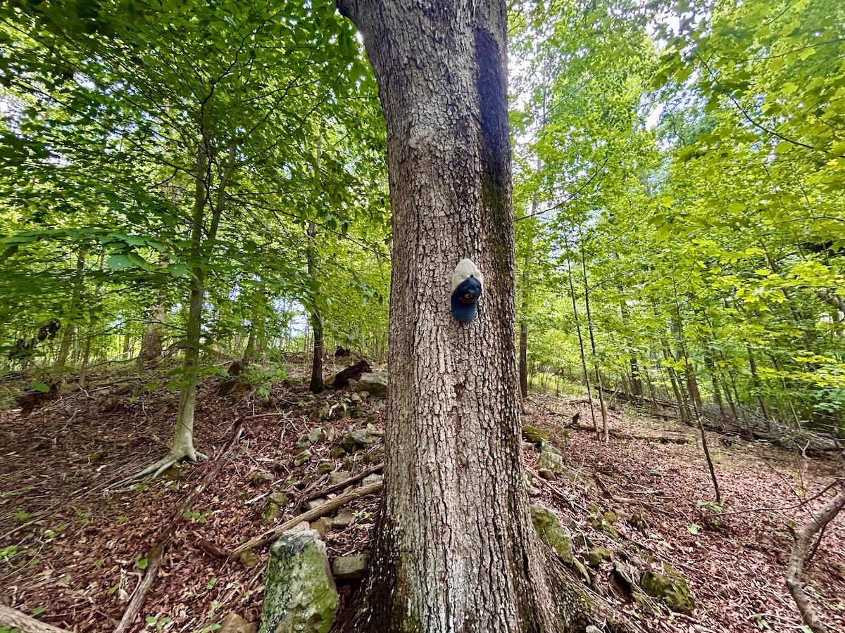 0 Stewartsville Road Vinton, VA 24179 - Photo 43 of 64