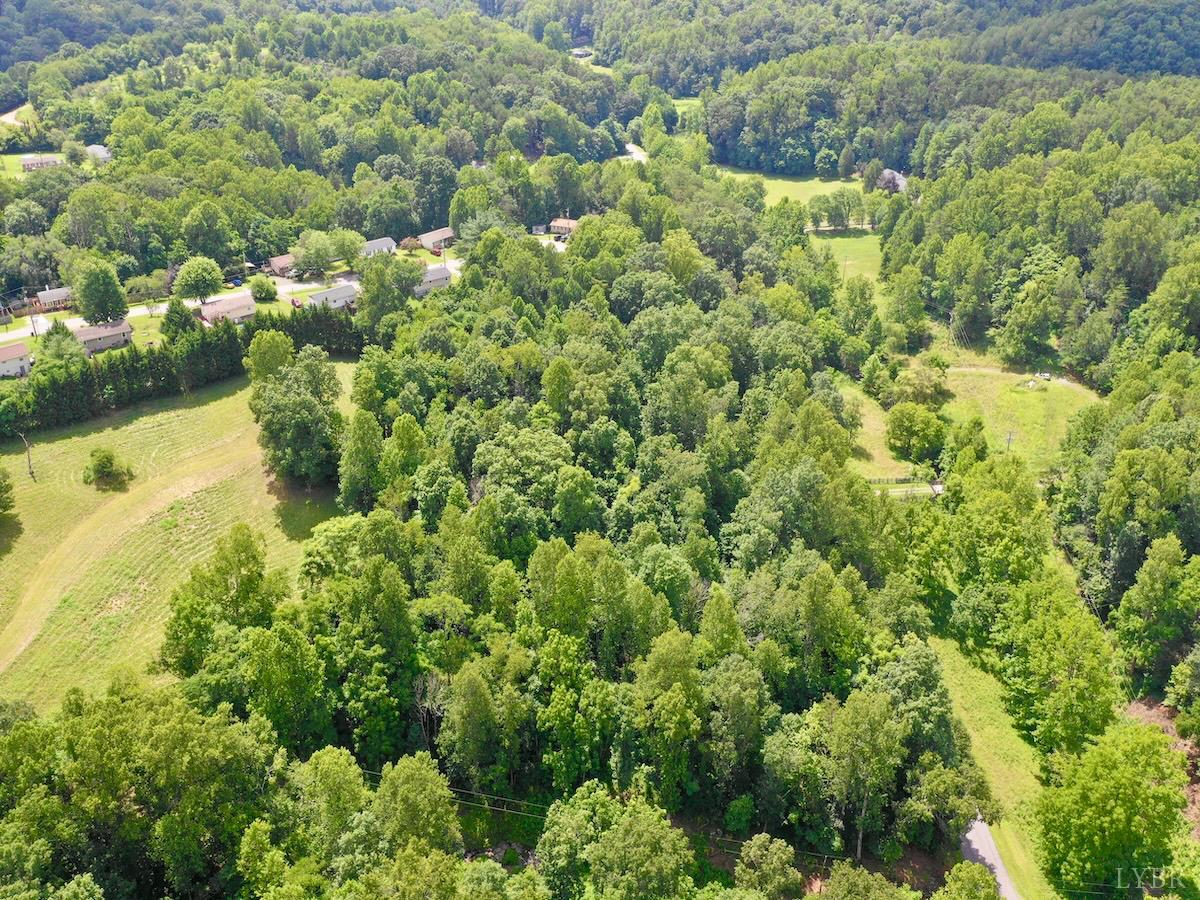 0 Stewartsville Road Vinton, VA 24179 - Photo 46 of 64