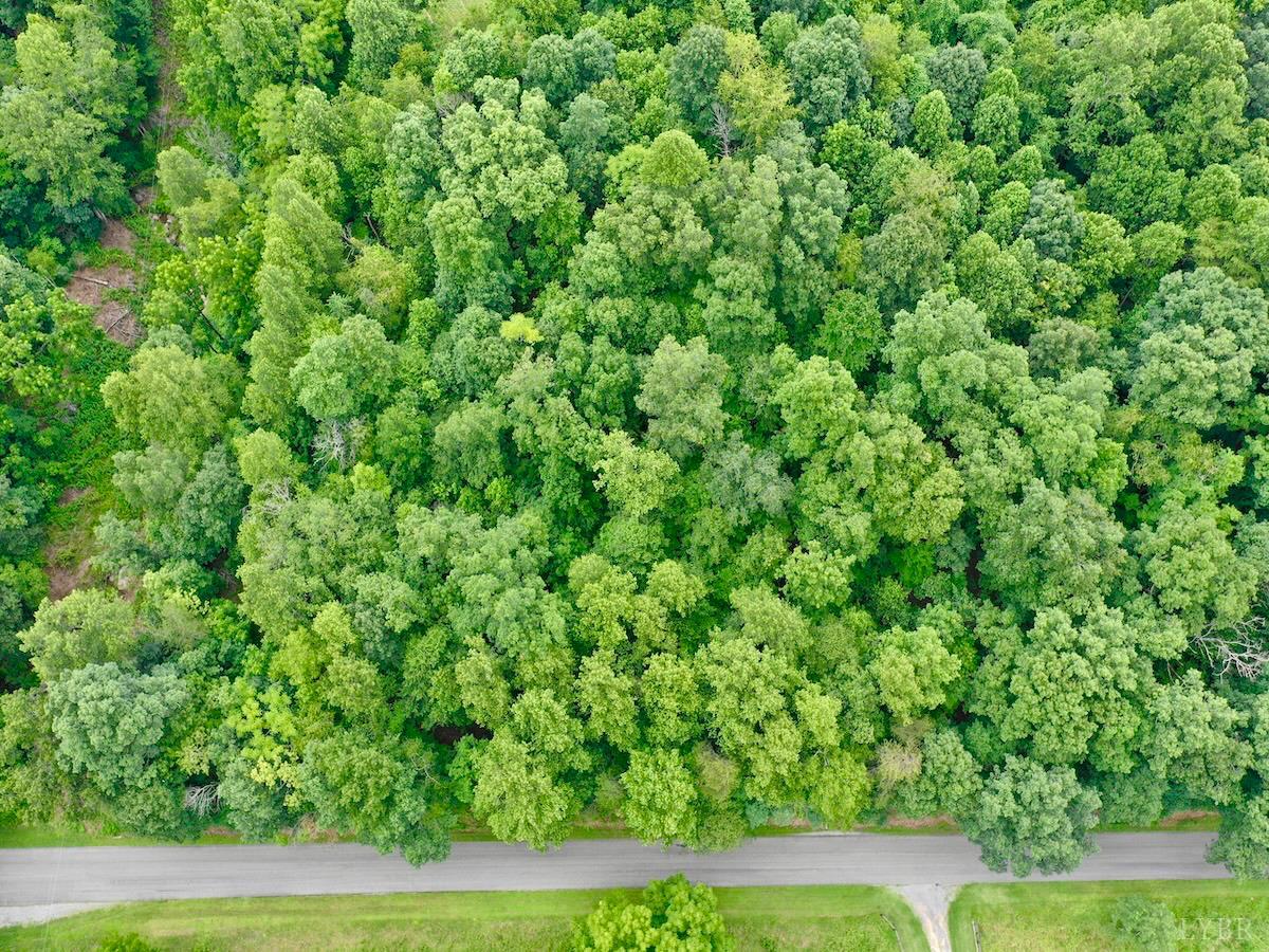 0 Stewartsville Road Vinton, VA 24179 - Photo 47 of 64