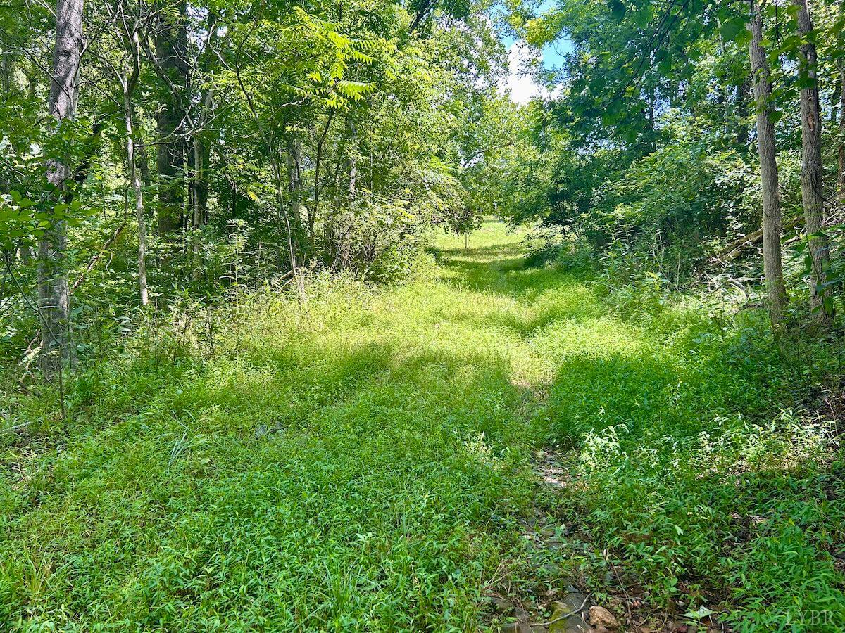 0 Stewartsville Road Vinton, VA 24179 - Photo 50 of 64