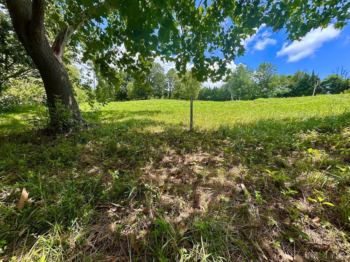 0 Stewartsville Road Vinton, VA 24179 - Photo 51 of 64