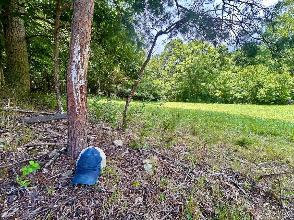 0 Stewartsville Road Vinton, VA 24179 - Photo 52 of 64