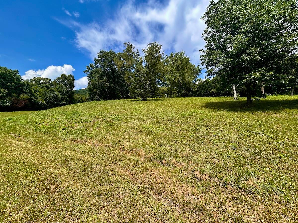 0 Stewartsville Road Vinton, VA 24179 - Photo 54 of 64