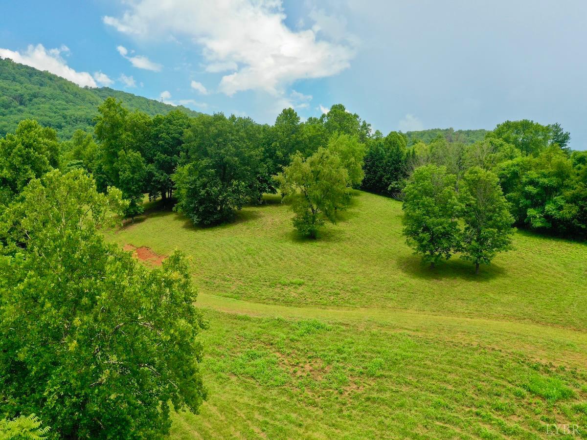 0 Stewartsville Road Vinton, VA 24179 - Photo 55 of 64