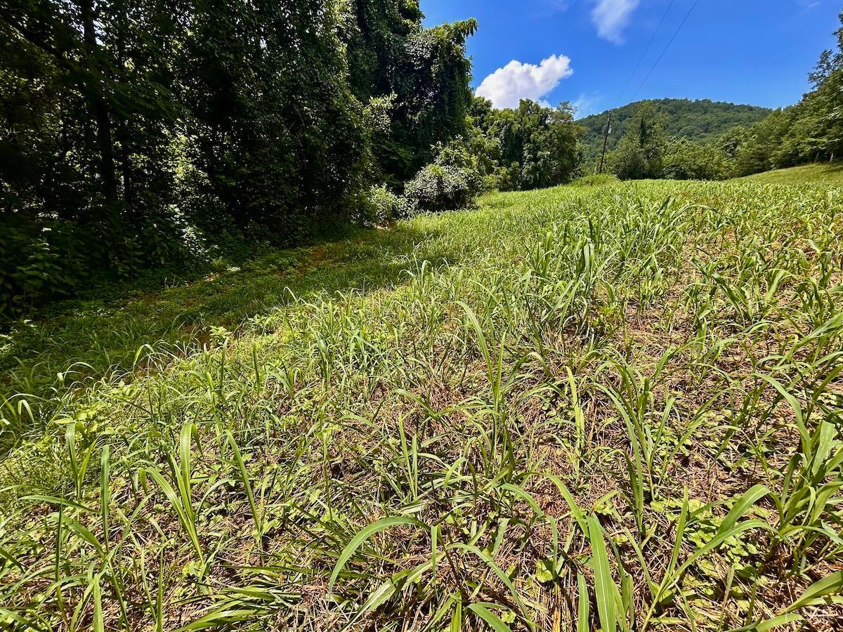 0 Stewartsville Road Vinton, VA 24179 - Photo 57 of 64