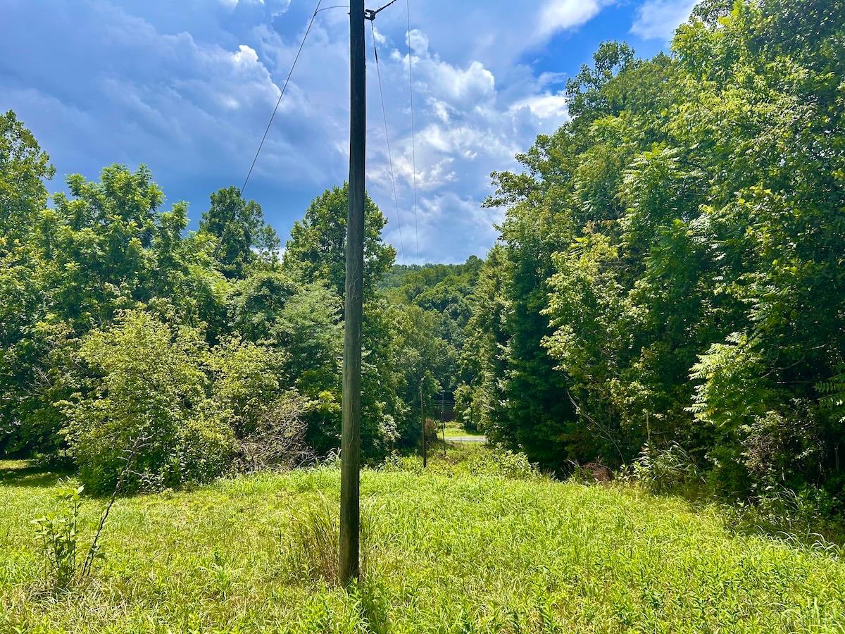 0 Stewartsville Road Vinton, VA 24179 - Photo 58 of 64