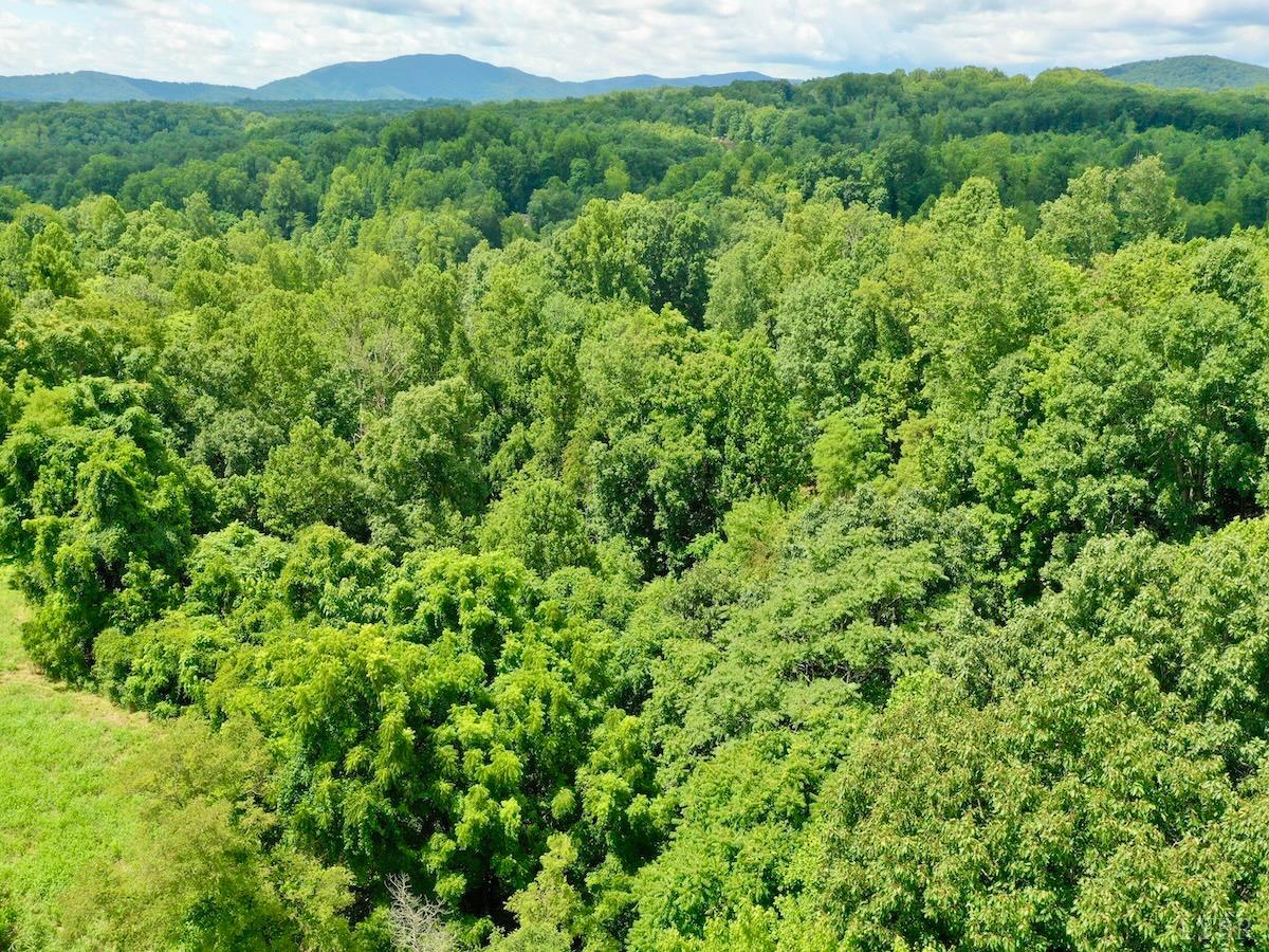 0 Stewartsville Road Vinton, VA 24179 - Photo 7 of 64