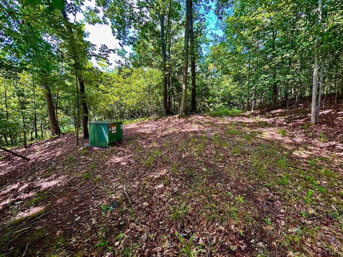 0 Stewartsville Road Vinton, VA 24179 - Photo 8 of 64