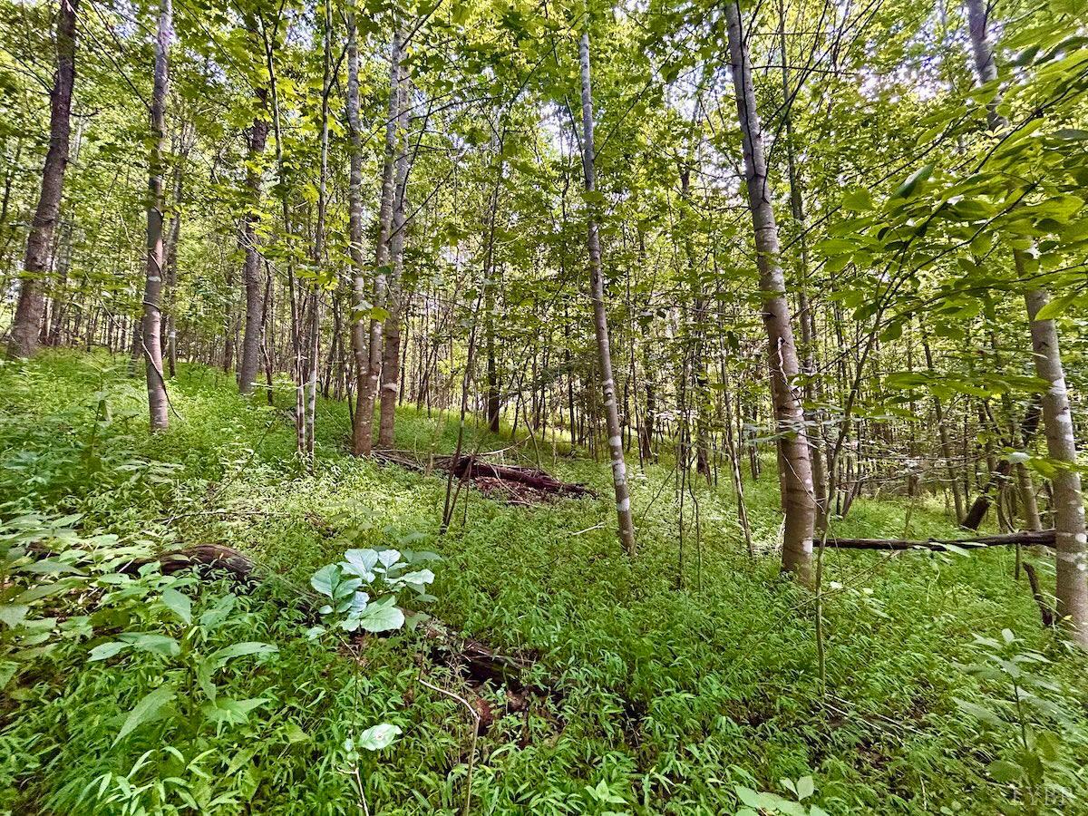 0 Stewartsville Road Vinton, VA 24179 - Photo 9 of 64