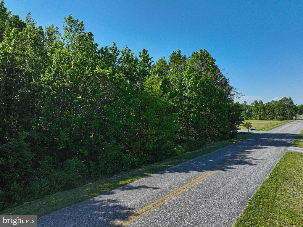 Lot 7 Bell Road Whaleyville, MD 21872 - Photo 2 of 20