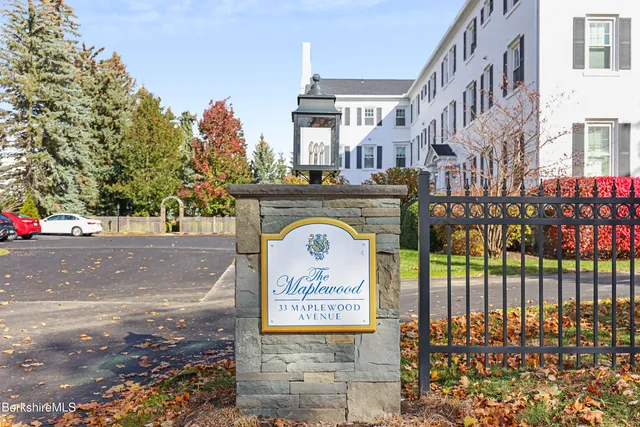 a view of a tree in the garden