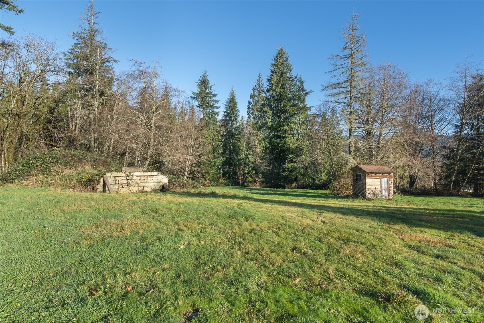 10232 333rd Avenue Southeast Sultan, WA 98294 - Photo 28 of 40 a view of a big yard with large trees