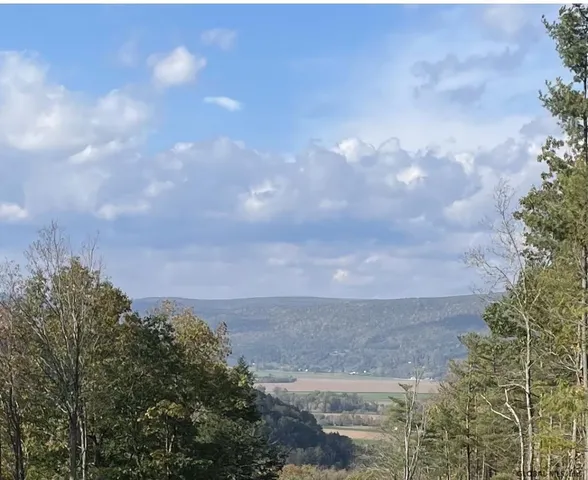 $87,000 | 0 Huntersland Road, Middleburgh, NY 12122